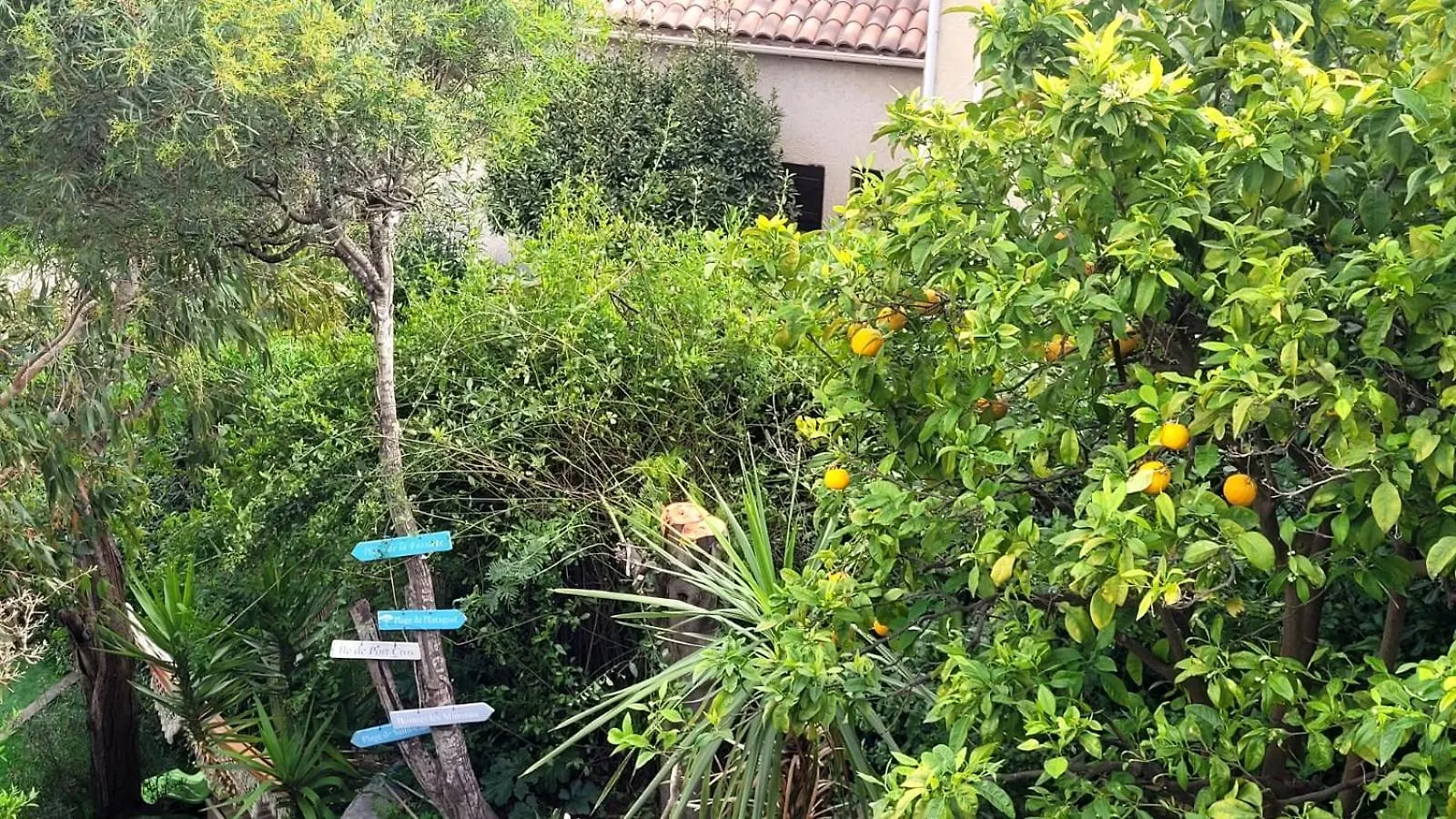Villa 2 Pieces Vue Mer Plage A Pied Le Lavandou